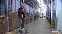 old young on stable